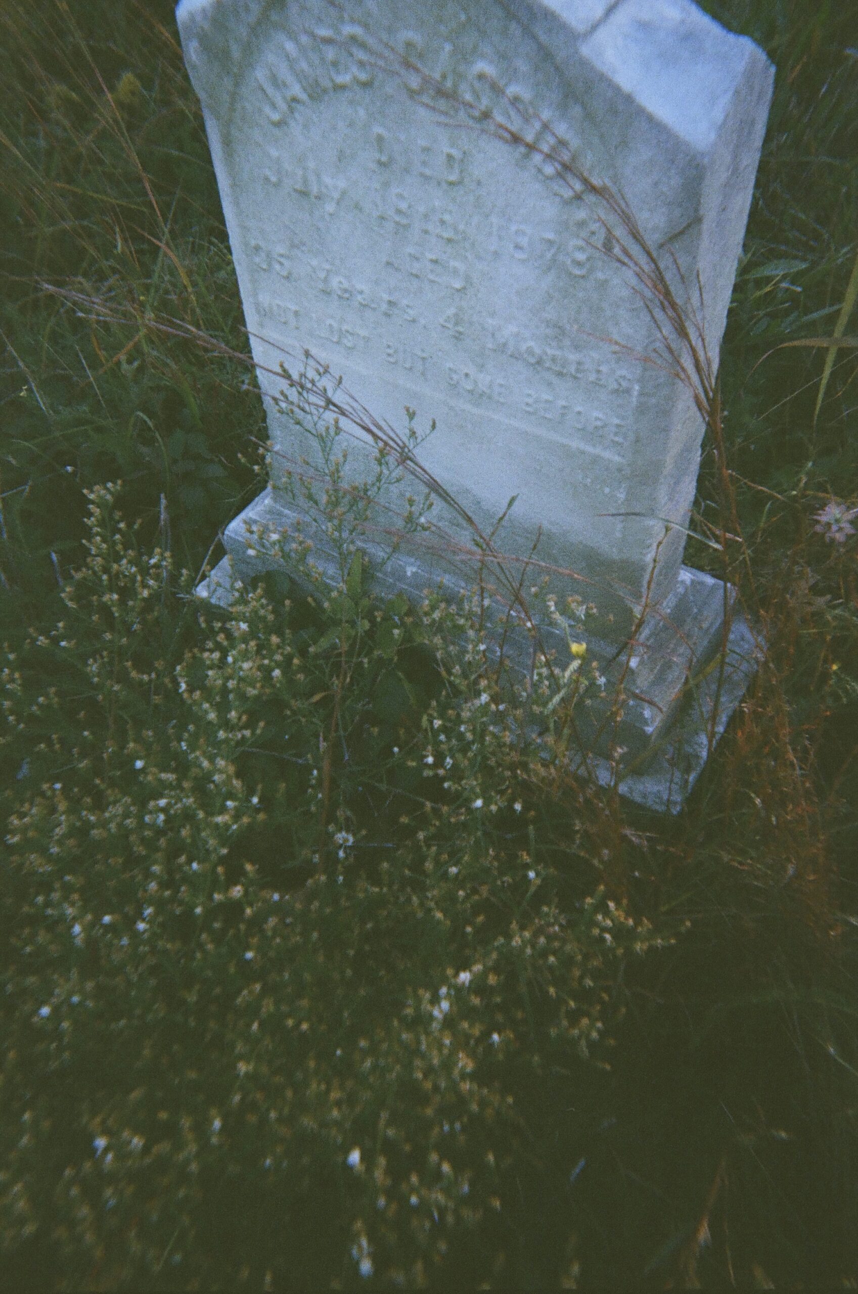 october on film ~ green-wood cemetery